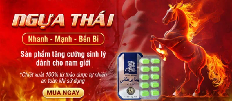 Ngựa Thái Chính Hãng